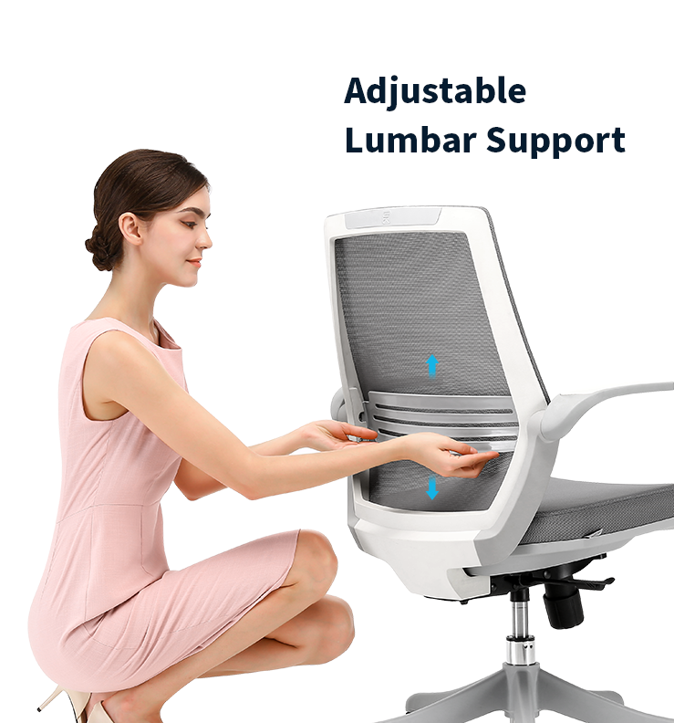 Sihoo M59D Ergonomic Fabric Office Chair with Liftable Armrest 1 Year Limited Warranty