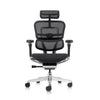 Ergohuman Luxury 2 Matrex USA Patent Mesh Ergonomic Office Chair