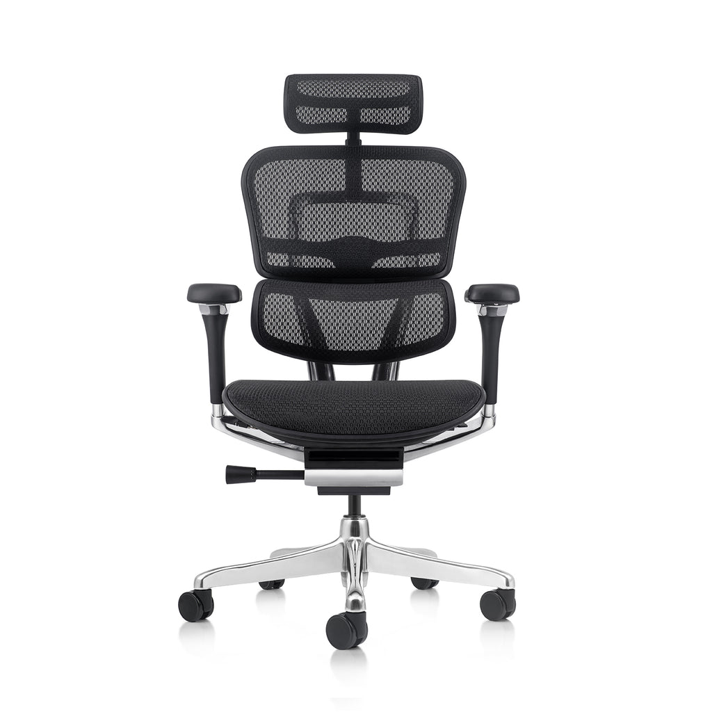 Ergohuman Luxury 2 Matrex USA Patent Mesh Ergonomic Office Chair