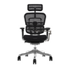 Ergohuman Plus Elite Matrex USA Patent Mesh Ergonomic Office Chair with Laptop Stand